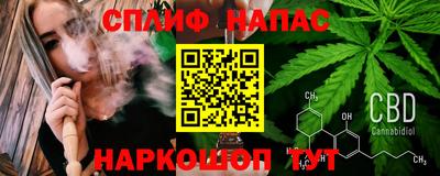 гидра Беслан