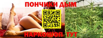 гидра Беслан