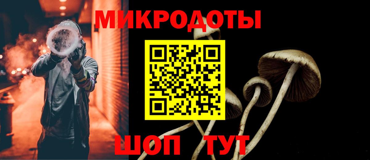 Благодарный  Галлюциногенные грибы Cubensis  Вход с VPN  Псилоцибиновые грибы Cubensis 