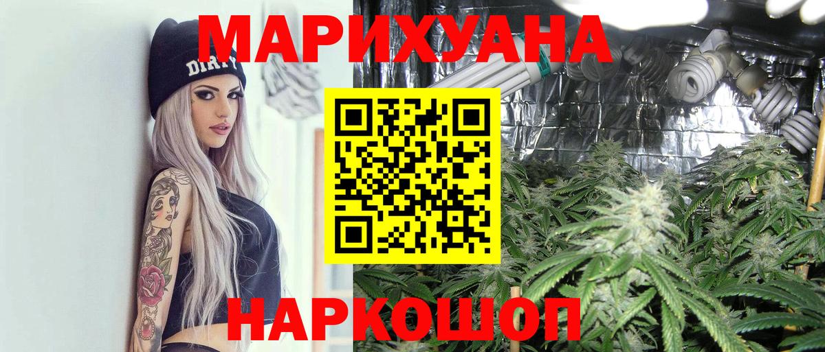 Шишки марихуана семена  Вход с VPN  Бошки Шишки ГИДРОПОН  Марихуана индика  Благодарный 